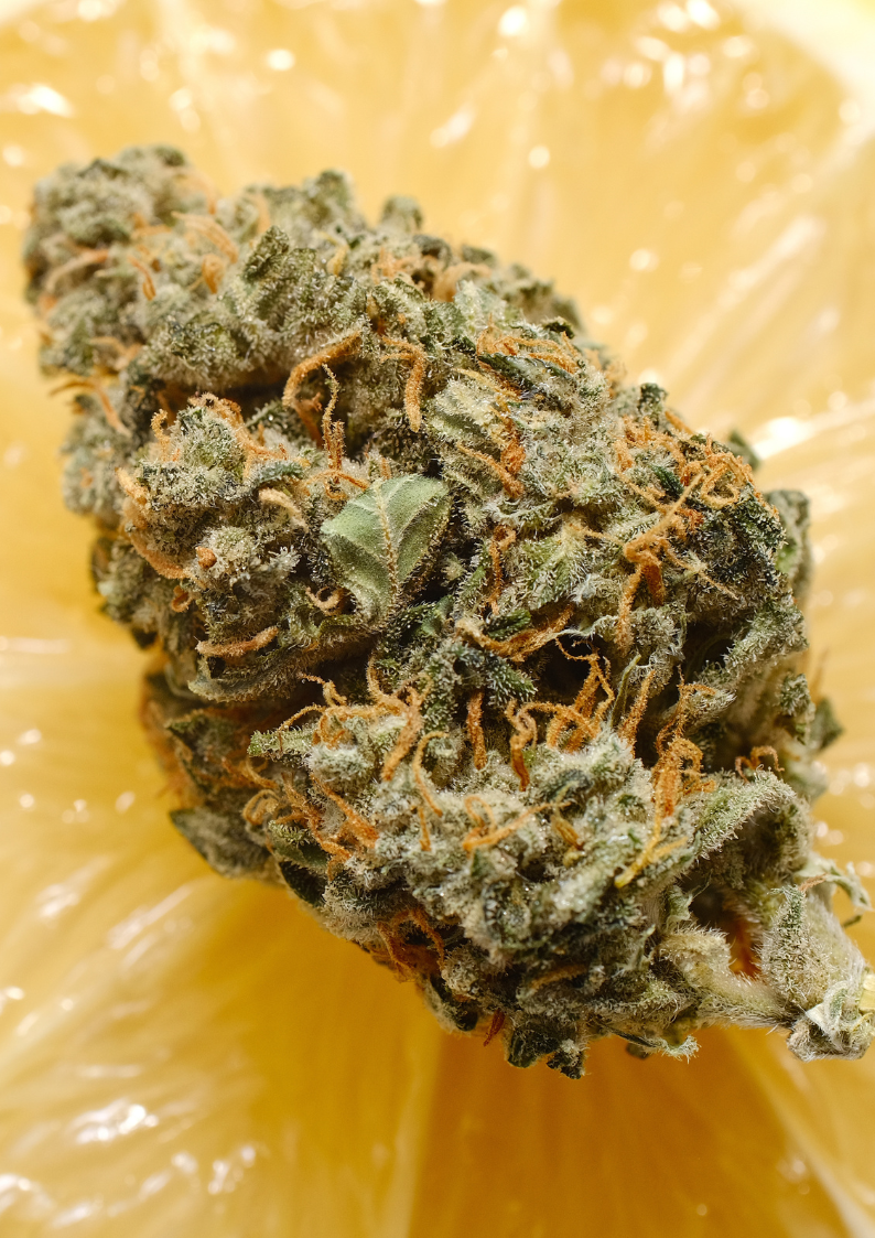 Delta-9 Tetrahydrocannabinol